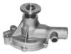NISSA 21010C6525 Water Pump